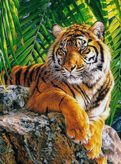 Diamond Painting Bengal Tiger